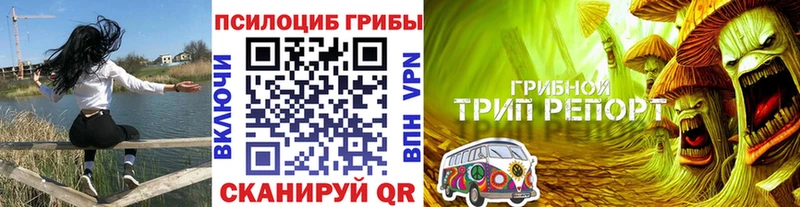 Галлюциногенные грибы Cubensis  Купить закладки  Спас-Клепики 