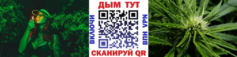 Конопля гибрид Спас-Клепики